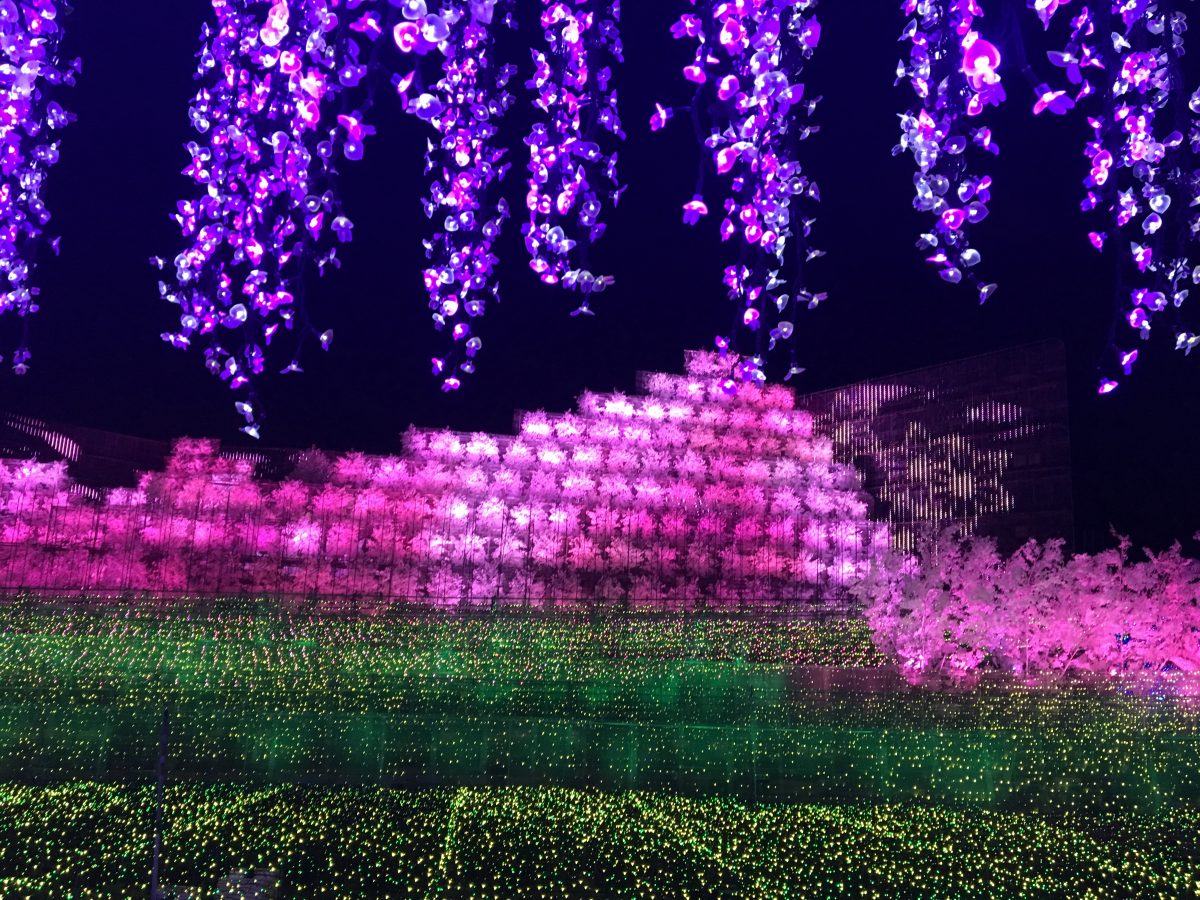 なばなの里イルミネーション期間の楽しみ方 料金 アクセス 花ひろば レストランも紹介 たーたんファミリー